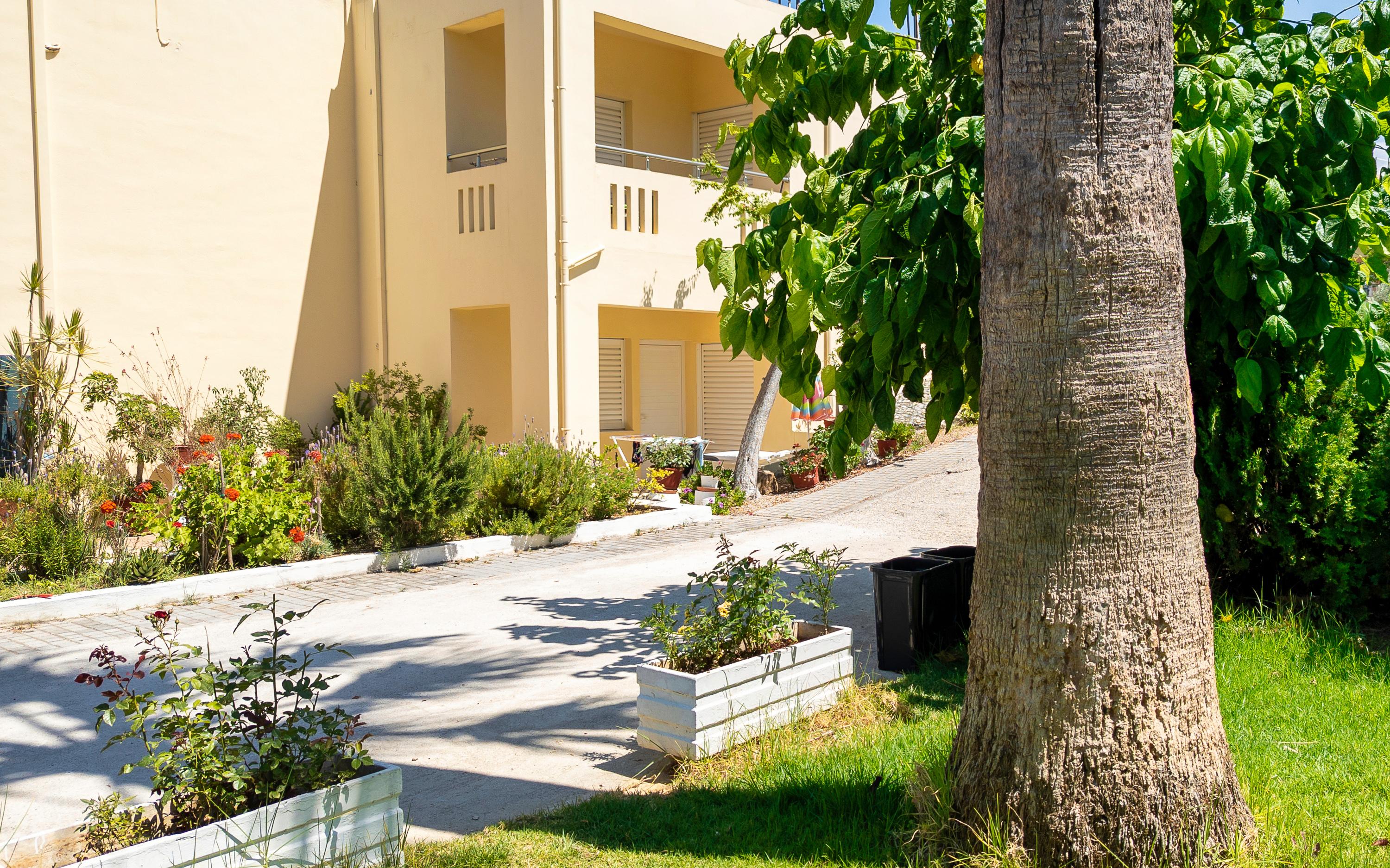 Zinovia Appartement Kato Daratso Buitenkant foto
