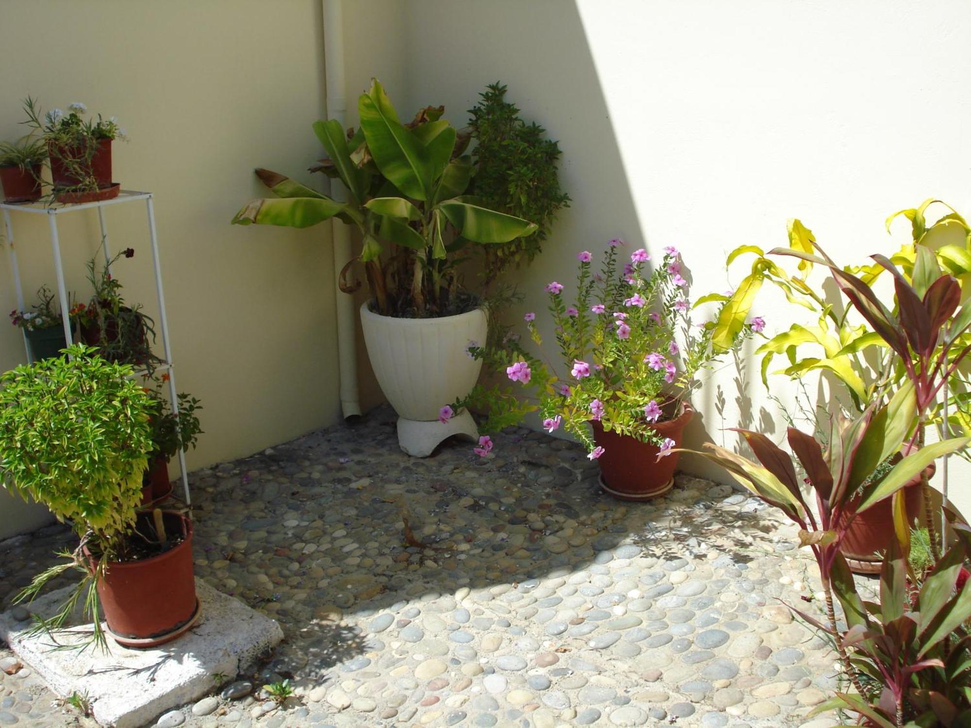 Zinovia Appartement Kato Daratso Buitenkant foto